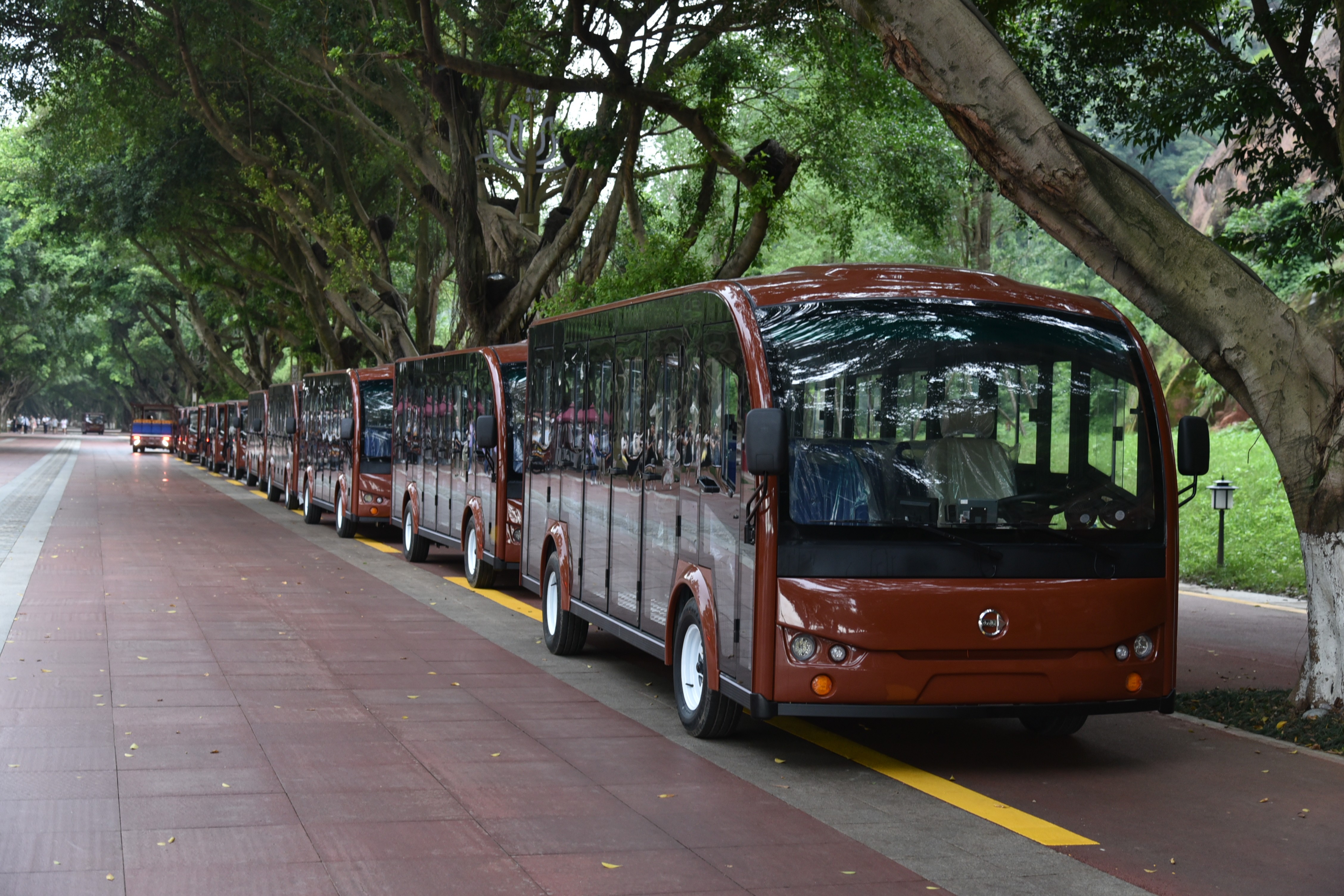 專業(yè)電動巡邏車廠家,電動觀光車制造商