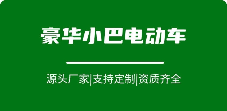 專業(yè)電動巡邏車廠家,電動觀光車制造商