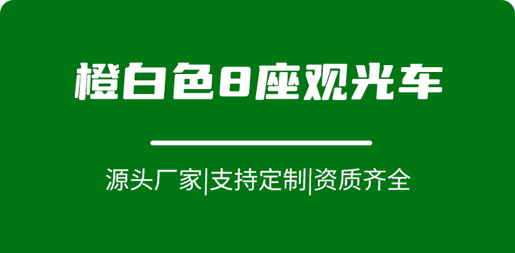 專業(yè)電動(dòng)巡邏車廠家,電動(dòng)觀光車制造商