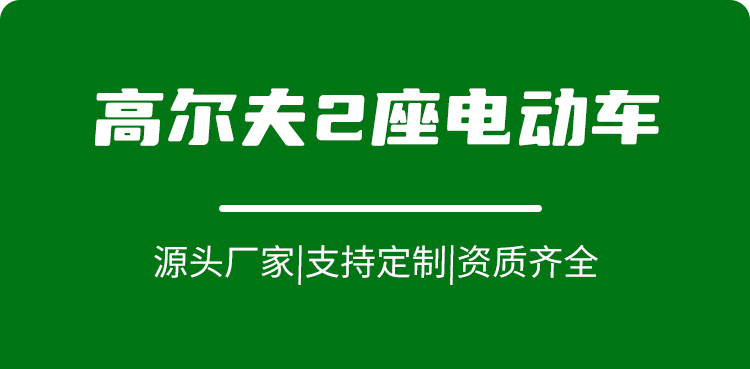 專業(yè)電動巡邏車廠家,電動觀光車制造商