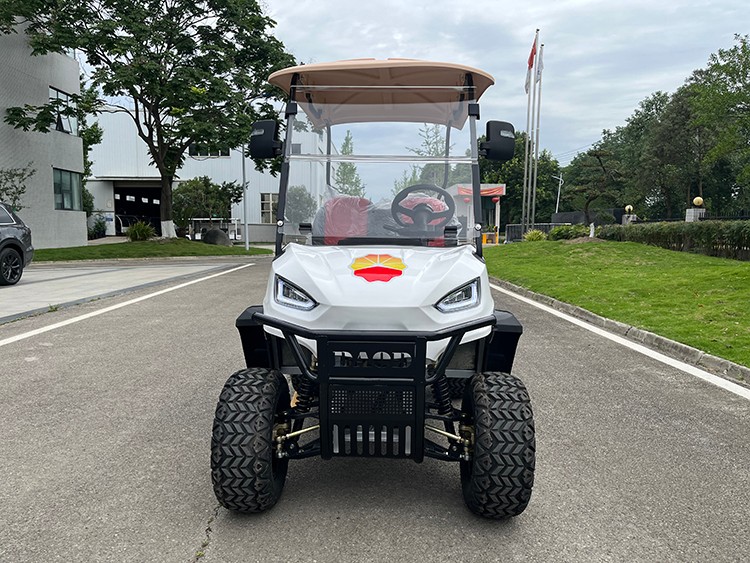 專業(yè)電動巡邏車廠家,電動觀光車制造商