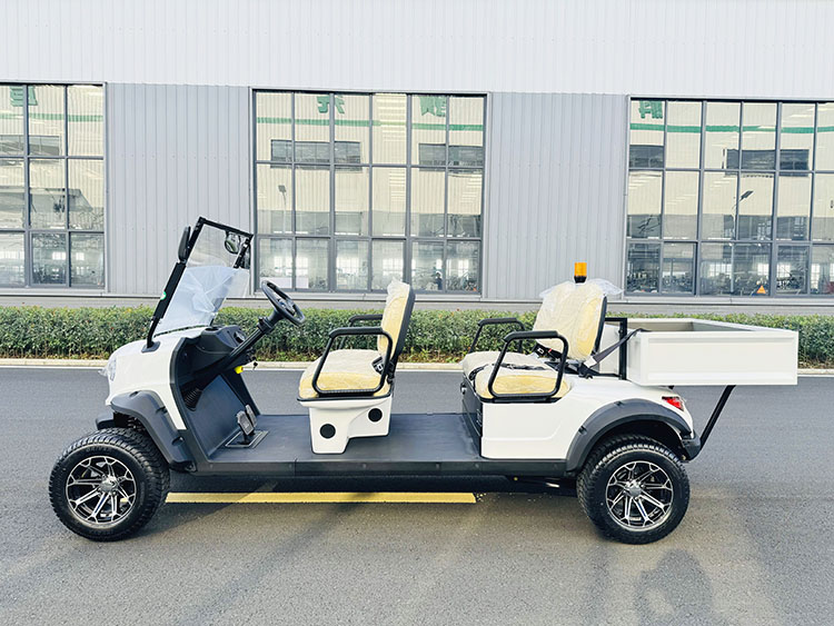專業(yè)電動(dòng)巡邏車廠家,電動(dòng)觀光車制造商