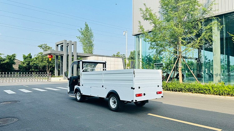 專業(yè)電動巡邏車廠家,電動觀光車制造商