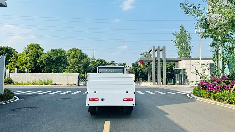 專業(yè)電動巡邏車廠家,電動觀光車制造商