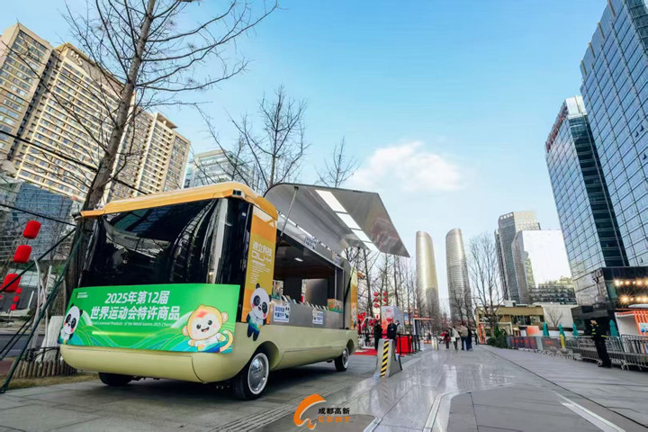 專業(yè)電動巡邏車廠家,電動觀光車制造商