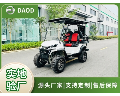 高爾夫2+2座電動(dòng)車(可定制)