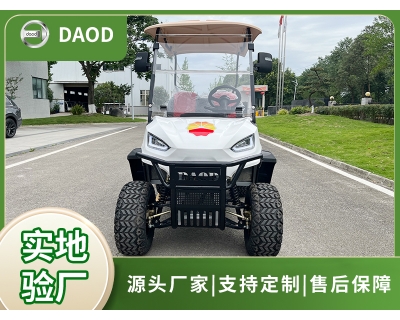 高爾夫2座電動車(可定制)